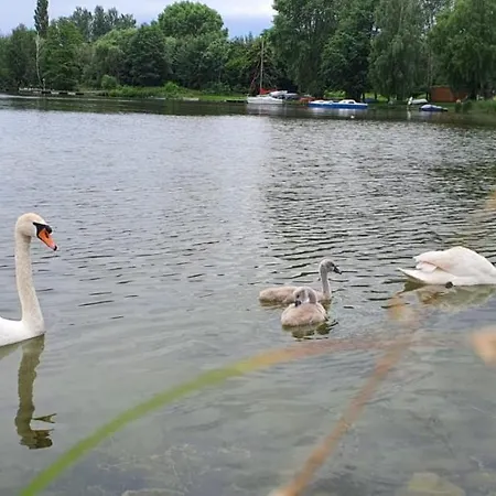 Apartament Wilkasy * Wilkasy (Gizycko)