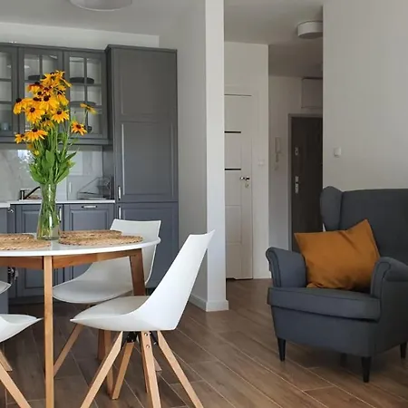 Apartament Wilkasy *