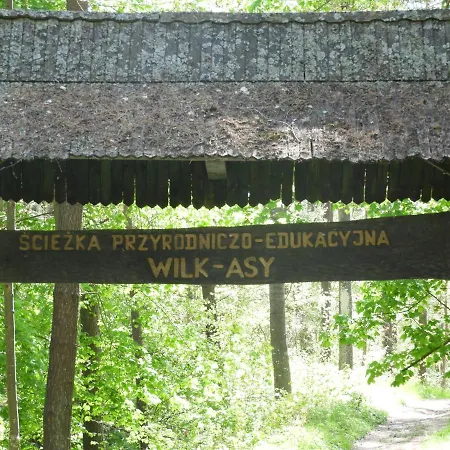 Апартаменты Apartament Wilkasy