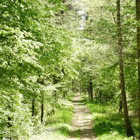 Apartament Wilkasy *