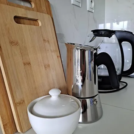 Apartament Wilkasy *