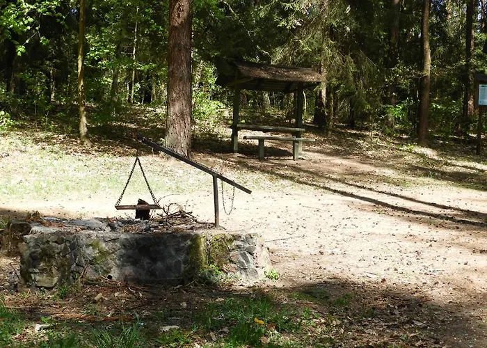 Apartament Apartament WILKASY (k. Giżycka) *