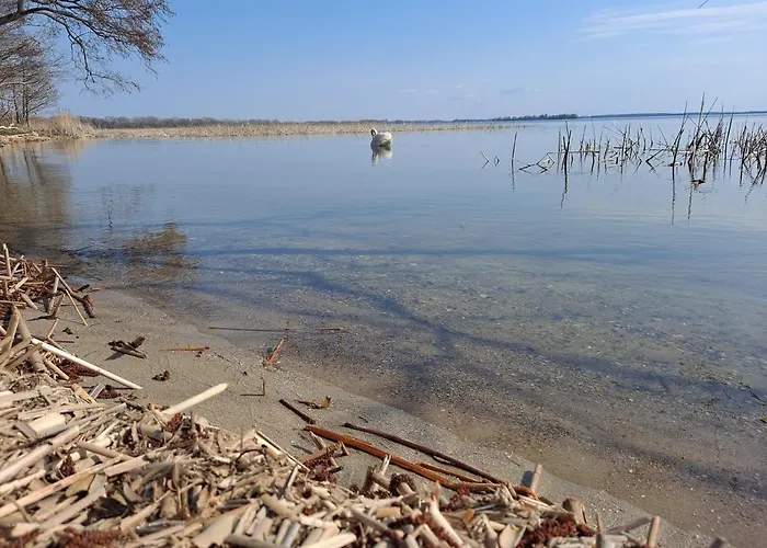 Apartament Wilkasy 公寓 维尔卡瑟